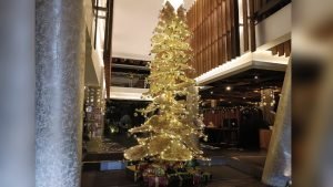 Screenshot_20251204_235255_InCollage - Collage Maker