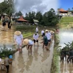 Screenshot_20251207_150340_InCollage - Collage Maker