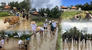 Screenshot_20251207_150340_InCollage - Collage Maker