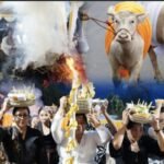 Screenshot_20251220_004910_InCollage - Collage Maker