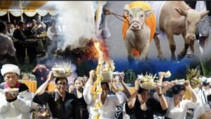 Screenshot_20251220_004910_InCollage - Collage Maker