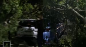 Screenshot_20251221_002125_InCollage - Collage Maker