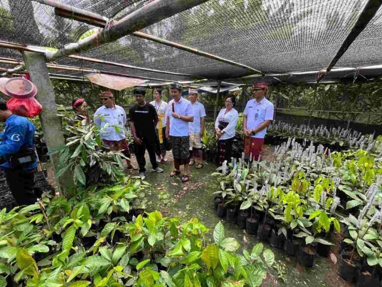 IMG-20260103-WA0006_fbpF29f10k