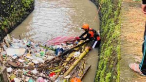 IMG-20260110-WA0015_EDuwcztx9b