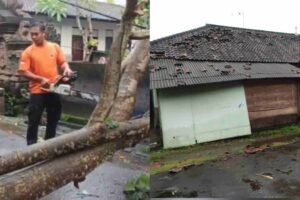 InCollage_20260122_101942205_wX40w4XT0Q