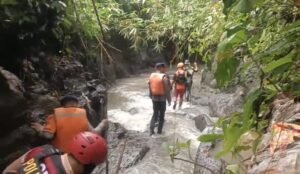 Screenshot_20260123_234124_WhatsAppBusiness