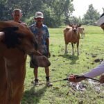 IMG-20260207-WA0022_kKEbIOsM0a