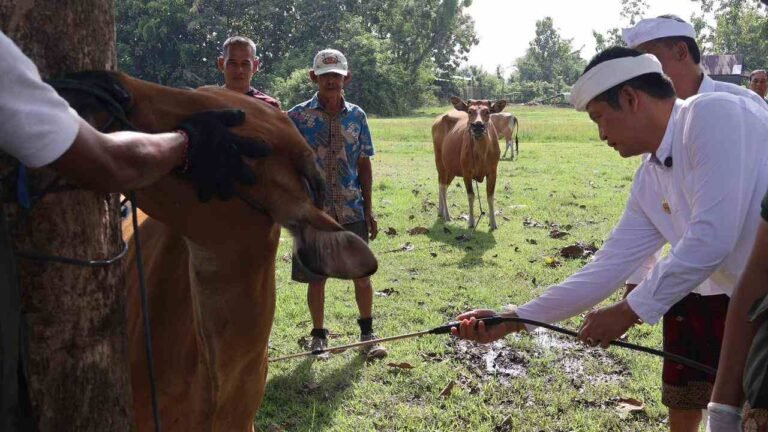 IMG-20260207-WA0022_kKEbIOsM0a