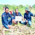 IMG-20260213-WA0037_atQusyGl61