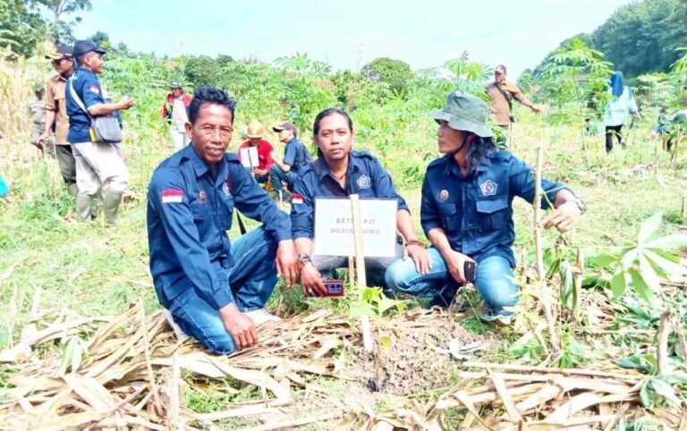 IMG-20260213-WA0037_atQusyGl61