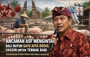 IMG-20260220-WA0034_pS6AnRC54x