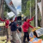 InCollage_20260204_202414739_Jeog0qMg6i