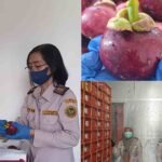 InCollage_20260210_213532824_jVTKGDM80D