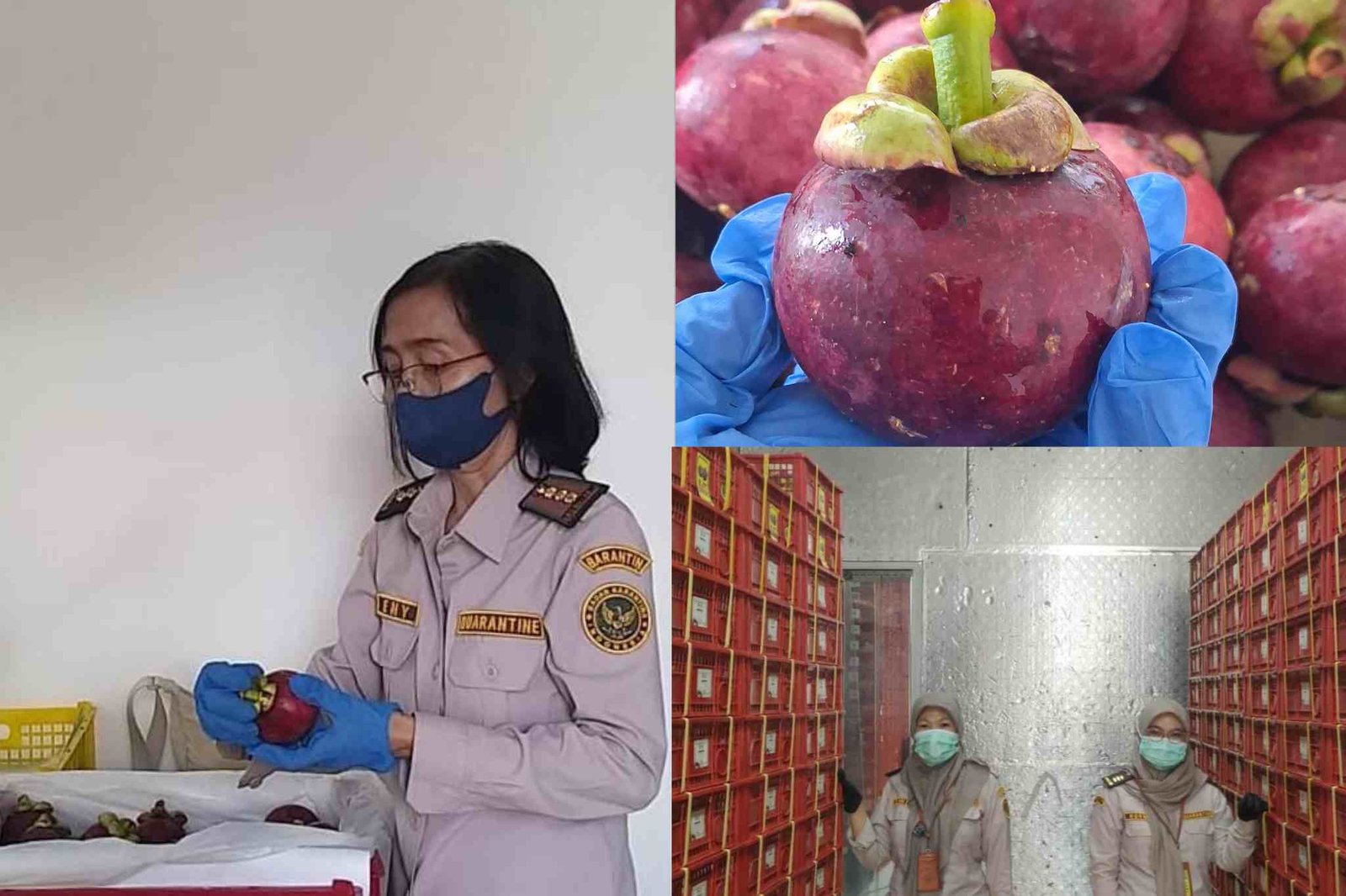 InCollage_20260210_213532824_jVTKGDM80D