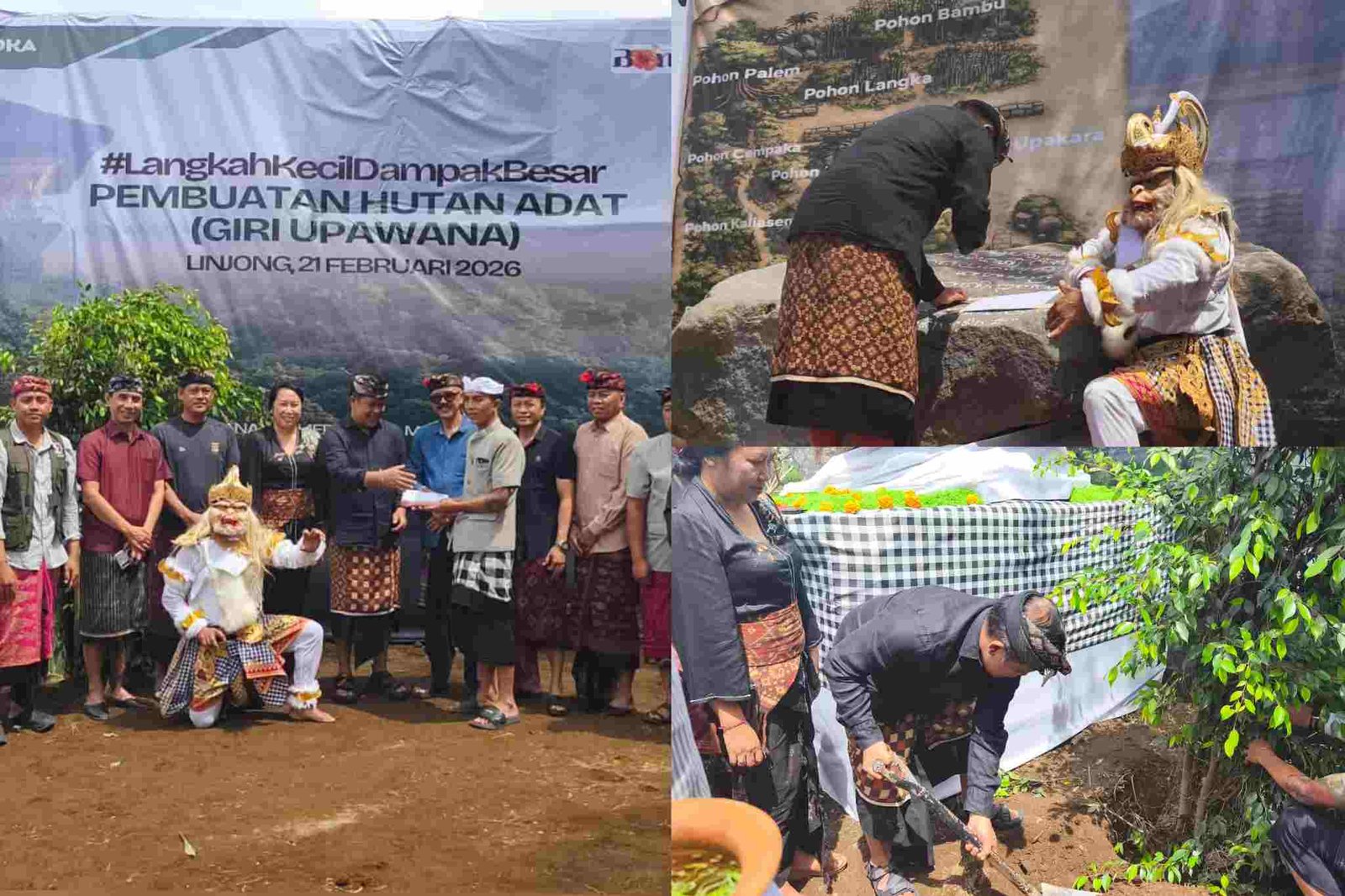 InCollage_20260221_132017560_zDA3kfWd38