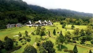 Screenshot_20260205_090944_Google