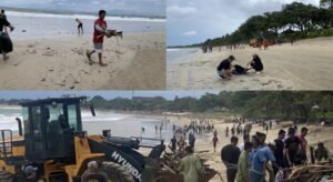 Screenshot_20260205_115922_InCollage - Collage Maker