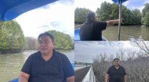 Screenshot_20260220_205513_InCollage - Collage Maker