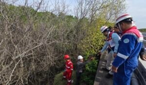 Screenshot_20260221_225052_WhatsAppBusiness