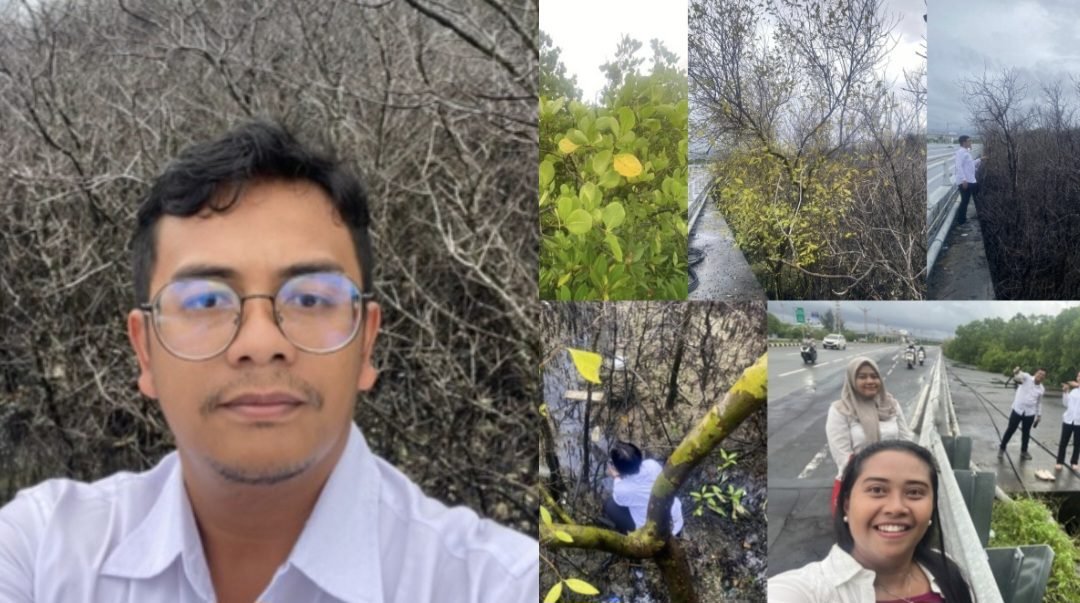 Screenshot_20260225_110102_InCollage - Collage Maker