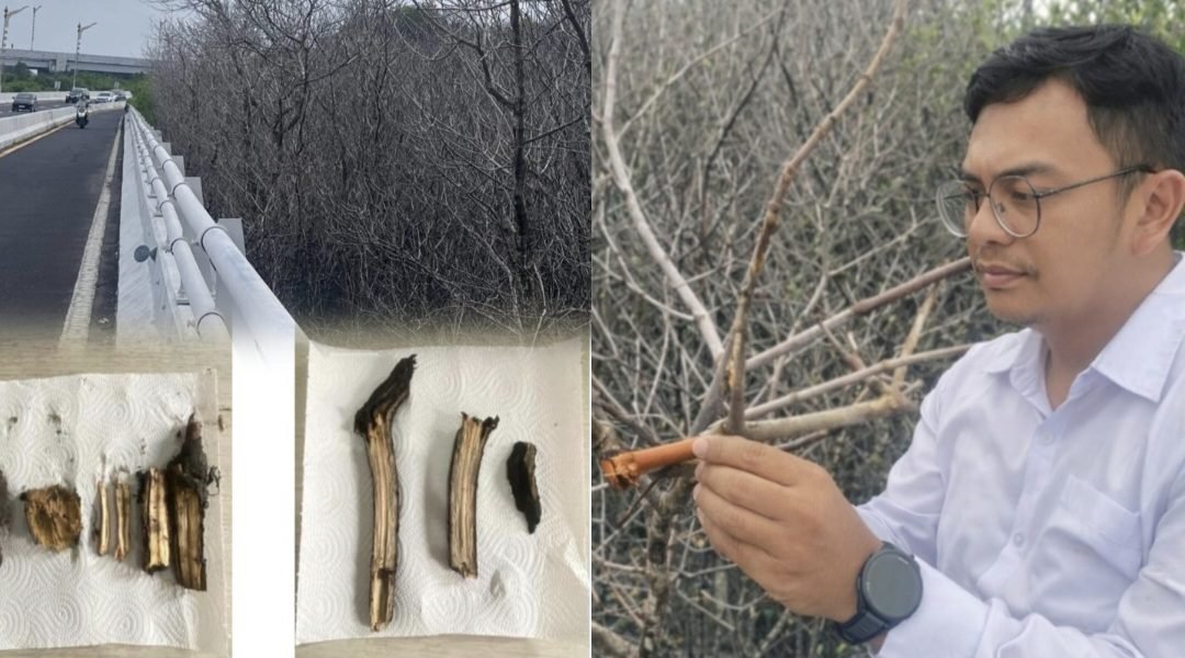 Screenshot_20260226_210806_InCollage - Collage Maker