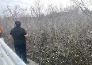 WhatsApp-Image-2026-02-21-at-16.58.41-1140x815