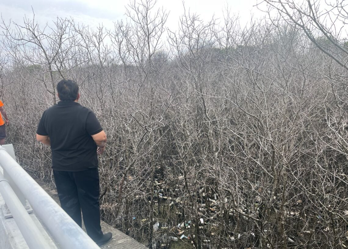 WhatsApp-Image-2026-02-21-at-16.58.41-1140x815