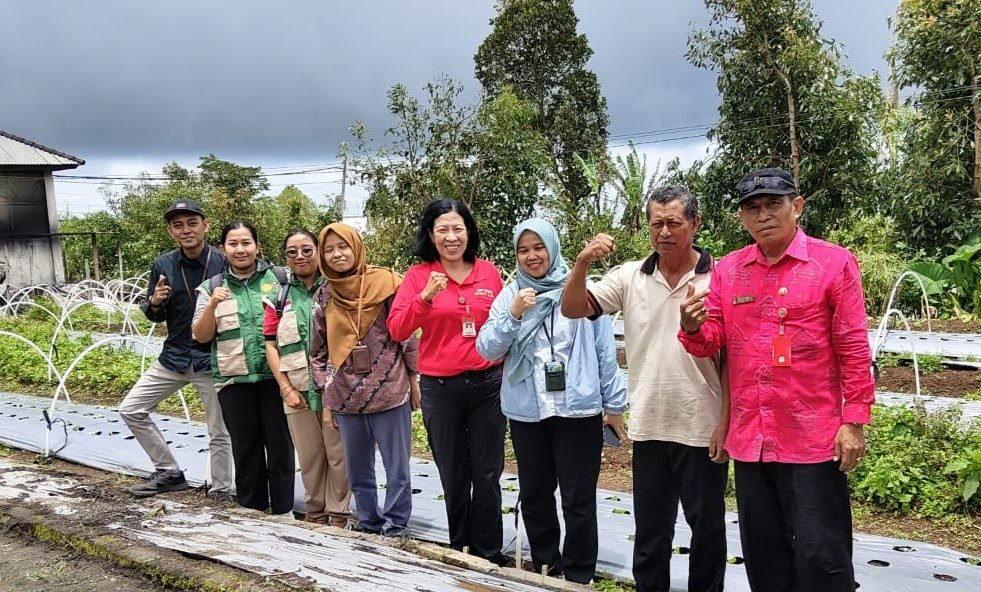 Holtikultura2026-03-25 at 20.17.33