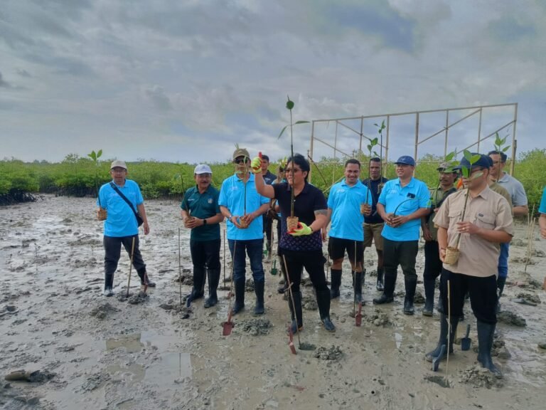 IMG-20260309-WA0081(1)