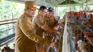 IMG-20260316-WA0038_yqggSis73b