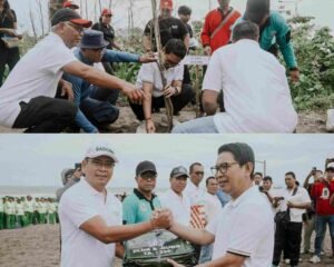 InCollage_20260302_122004738_erYQY18a0Z