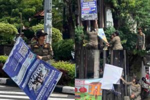 InCollage_20260303_200602191_yy8JOraV9M