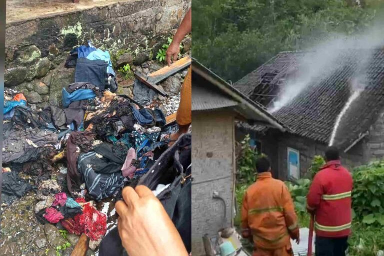 InCollage_20260303_213931924_EYC4B60H0E