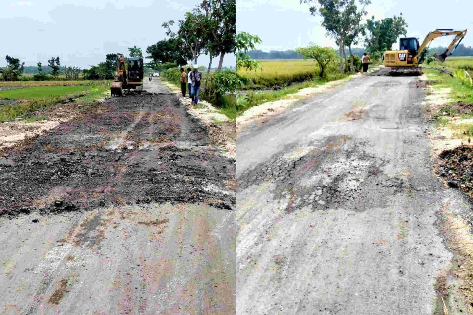 InCollage_20260305_105021565_92iVWpm05v