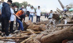 Screenshot_20260311_123923_WhatsAppBusiness