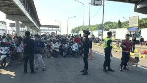 Screenshot_20260315_224502_WhatsAppBusiness