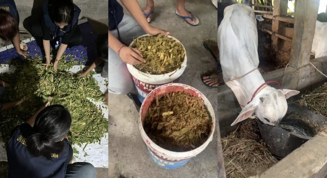 WhatsApp Image 2026-03-02 at 11.33.21