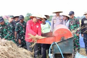 IMG-20260404-WA0003_Kip8z55s8C