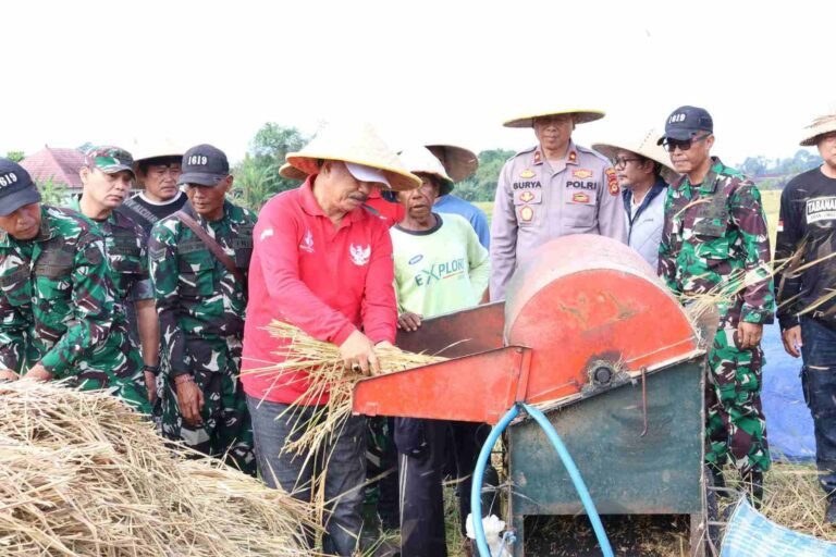 IMG-20260404-WA0003_Kip8z55s8C