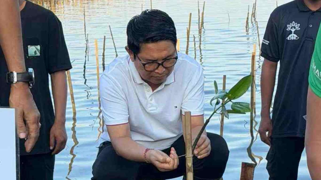 InCollage_20260426_134152336_DtOlPyCX4u