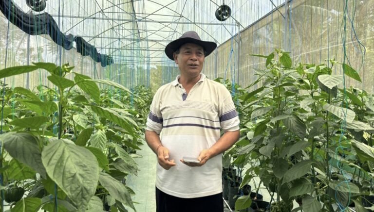 Screenshot_20260414_232124_WhatsAppBusiness