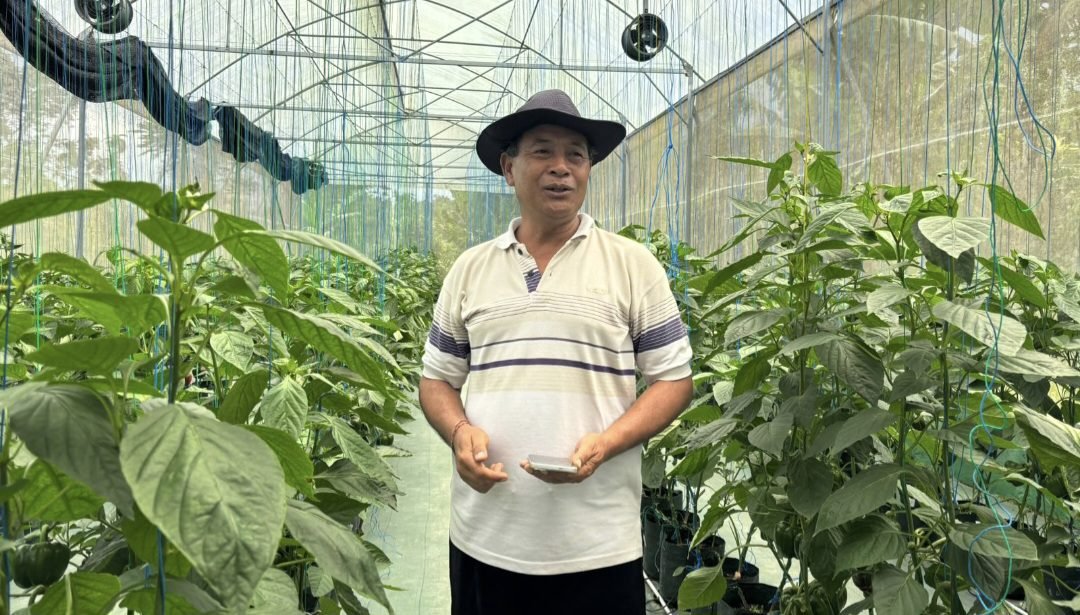 Screenshot_20260414_232124_WhatsAppBusiness