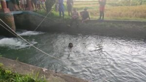 WhatsApp Image 2026-04-17 at 08.19.54