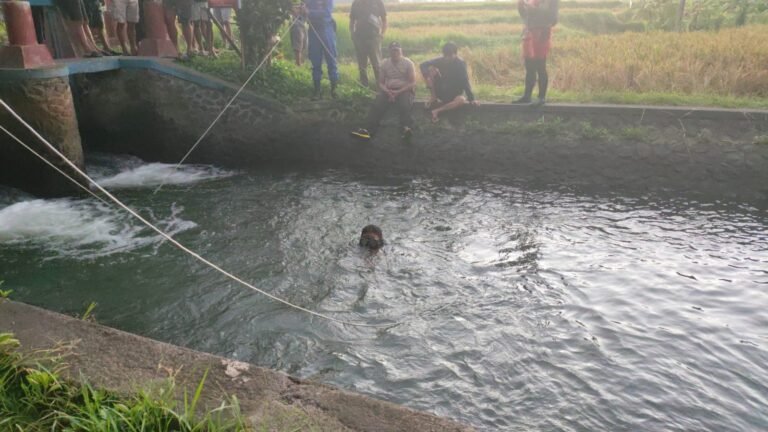 WhatsApp Image 2026-04-17 at 08.19.54