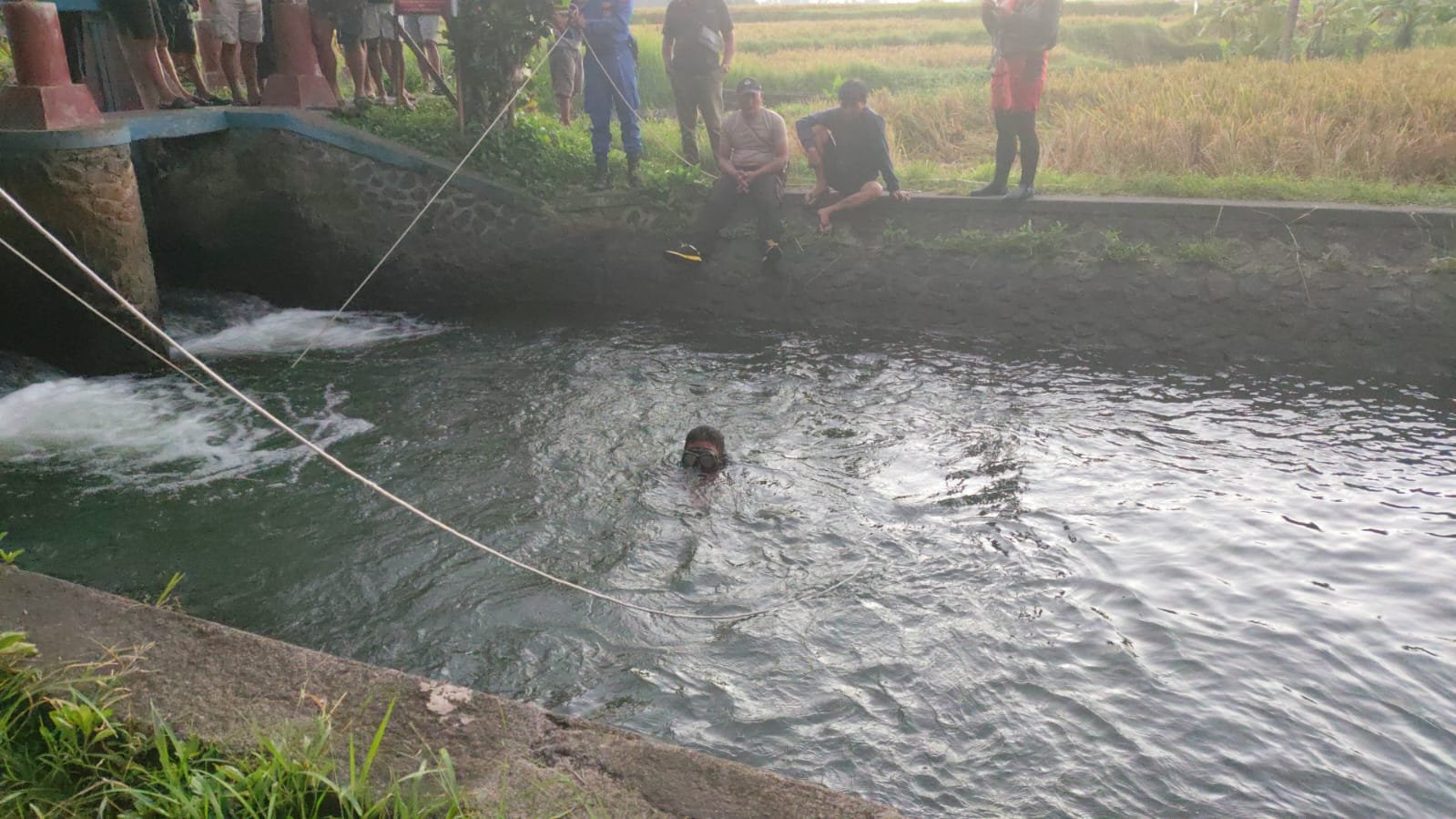 WhatsApp Image 2026-04-17 at 08.19.54