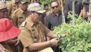 WhatsApp Image 2026-04-20 at 15.20.46