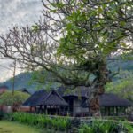 Mau Menenangkan Pikiran? Yuk Liburan ke-5 Desa Wisata Unik di Bali
