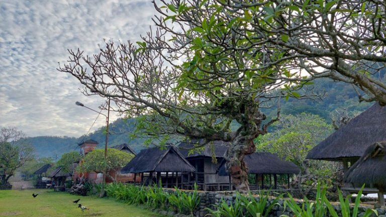 Mau Menenangkan Pikiran? Yuk Liburan ke-5 Desa Wisata Unik di Bali
