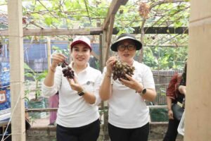 IMG-20260520-WA0023_usQCKhKX4g