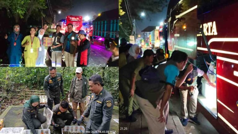 Tim Gabungan Gagalkan Pengiriman 1.424 Ekor Burung Tanpa Dokumen di Bali